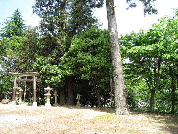 d0287413_10124630.jpg