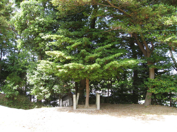 d0287413_1013056.jpg