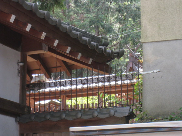 d0287413_10141357.jpg