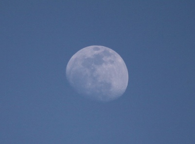 f0191413_17561313.jpg