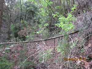 f0193521_10181048.jpg