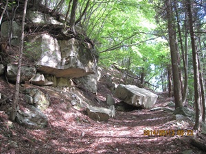 f0193521_10183510.jpg