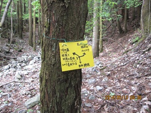 八丁越～メンノツラ谷～池之原～祖母山～メンノツラ谷～八丁越え_f0193521_10271981.jpg