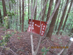 f0193521_13243016.jpg