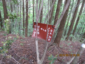 八丁越～メンノツラ谷～池之原～祖母山～メンノツラ谷～八丁越え_f0193521_13243016.jpg