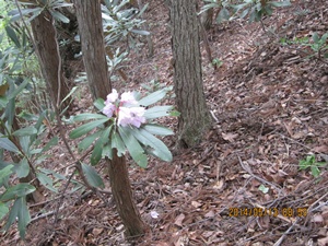 f0193521_13281755.jpg