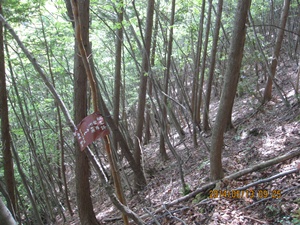 f0193521_13325530.jpg