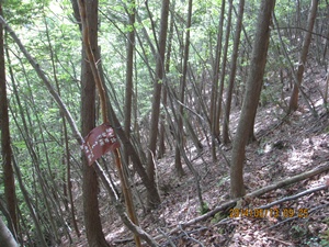 八丁越～メンノツラ谷～池之原～祖母山～メンノツラ谷～八丁越え_f0193521_13325530.jpg