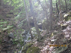 f0193521_13331213.jpg
