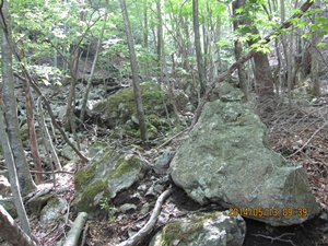 八丁越～メンノツラ谷～池之原～祖母山～メンノツラ谷～八丁越え_f0193521_1334349.jpg