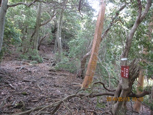 f0193521_13371996.jpg