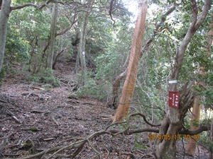 八丁越～メンノツラ谷～池之原～祖母山～メンノツラ谷～八丁越え_f0193521_13371996.jpg