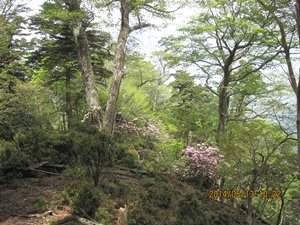 f0193521_13393519.jpg