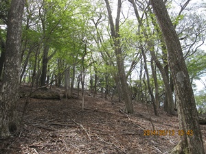 八丁越～メンノツラ谷～池之原～祖母山～メンノツラ谷～八丁越え_f0193521_1346152.jpg