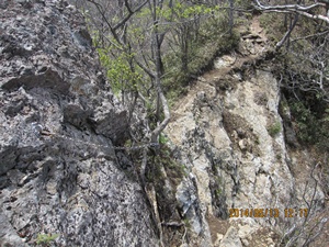 八丁越～メンノツラ谷～池之原～祖母山～メンノツラ谷～八丁越え_f0193521_14362239.jpg