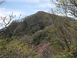 八丁越～メンノツラ谷～池之原～祖母山～メンノツラ谷～八丁越え_f0193521_14381436.jpg