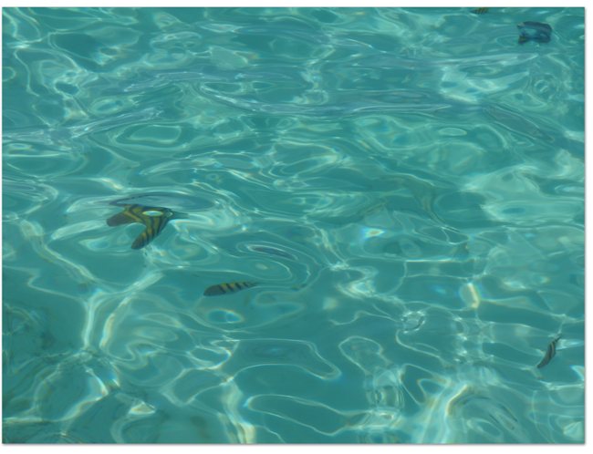 東カリブ海クルーズ(11) プライベートアイランド_d0210324_702358.jpg