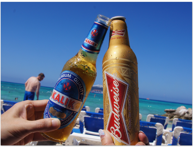 東カリブ海クルーズ(11) プライベートアイランド_d0210324_72838.jpg