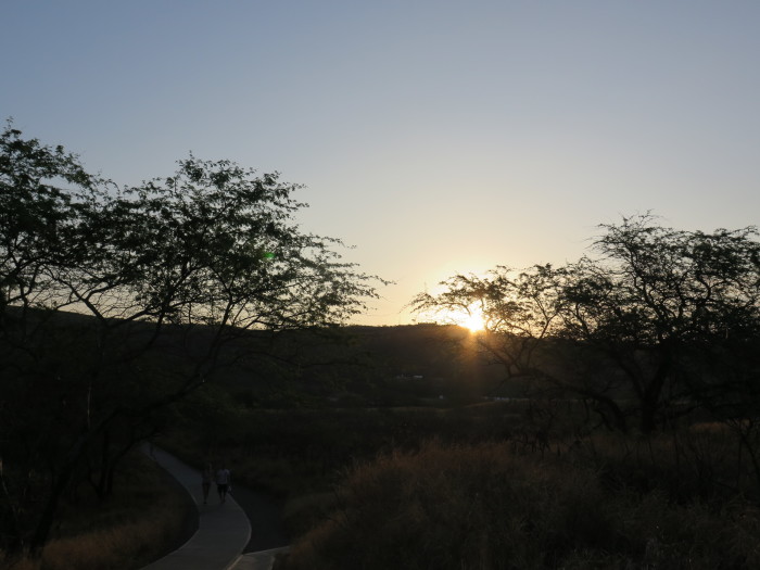 f0319441_15063093.jpg