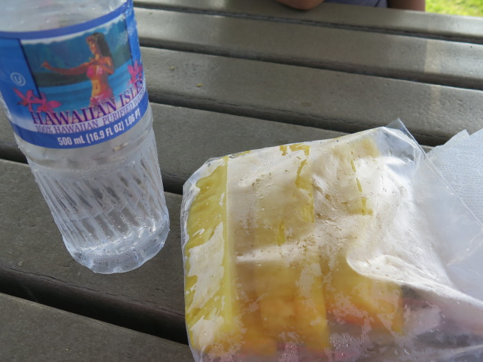 f0319441_15065779.jpg