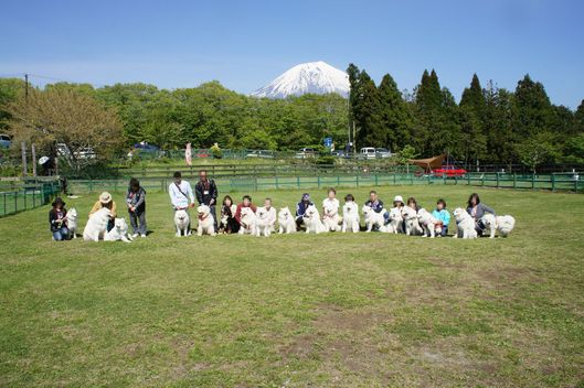 ２０１４年朝霧オフ　その２_f0128542_23521.jpg