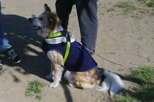c0266644_1233182.jpg