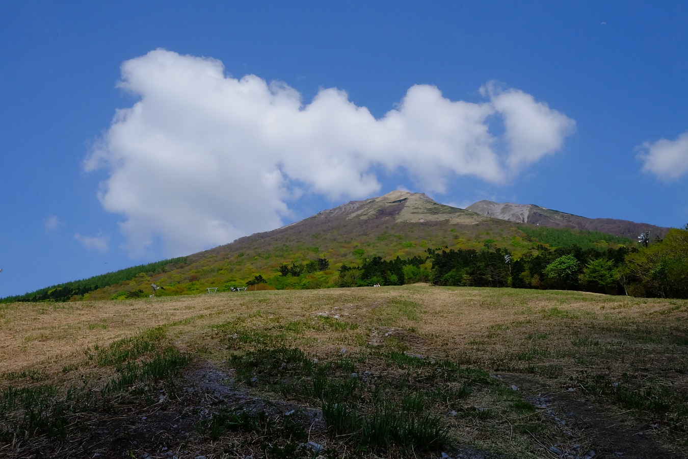 ４ヶ月ぶりの大山・弥山_a0317247_21322059.jpg