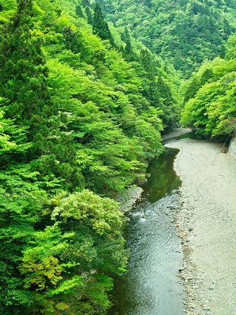 ヤッパ、奥山や奥山渓谷がキレイ・・・と、ガラクタ宝物が。_d0005250_183472.jpg