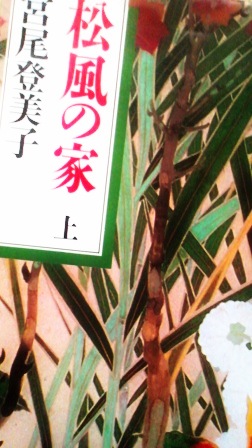 松風の家_f0246254_00445938.jpg