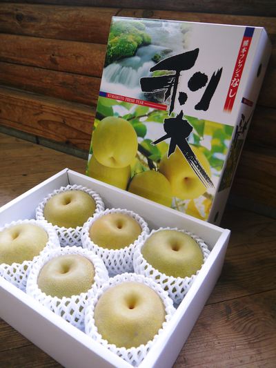 熊本梨 岩永農園 匠の摘果作業!その1「この時期に梨の形は決まっとるとばい!!」_a0254656_18263353.jpg