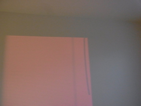 a0222070_6421.jpg