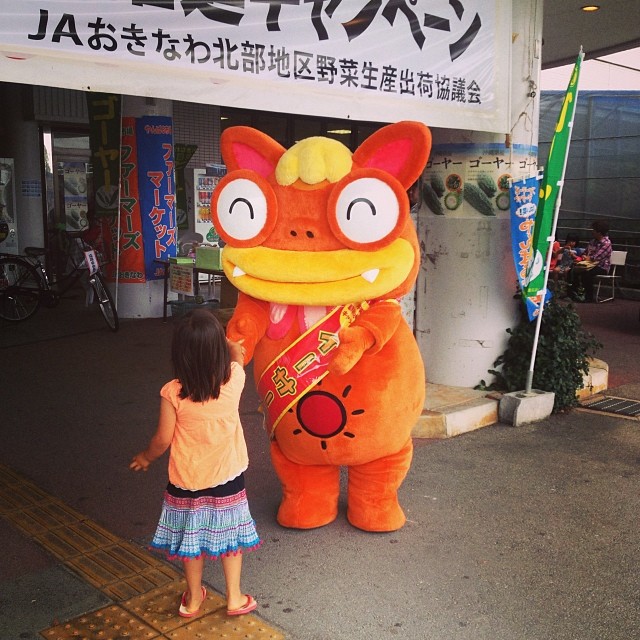 イーサー君 沖縄移住記 Holoholo Okinawa Kyoto イーサー君 沖縄移住記 Holoholo Okinawa Kyoto