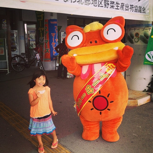 イーサー君 沖縄移住記 Holoholo Okinawa Kyoto イーサー君 沖縄移住記 Holoholo Okinawa Kyoto