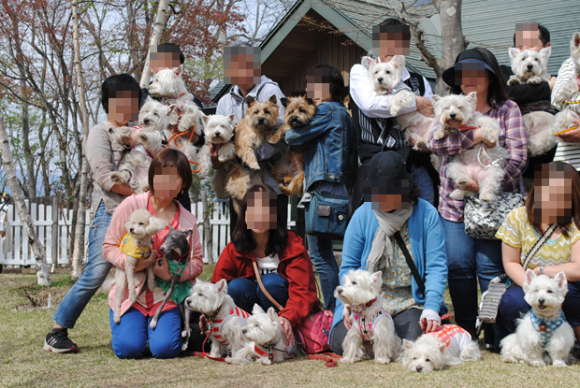 b0242873_23442717.png