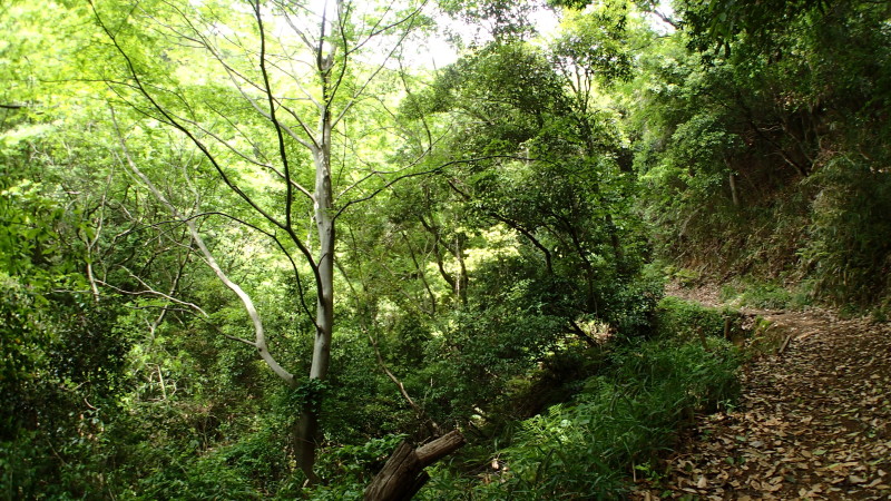 e0024081_15102754.jpg