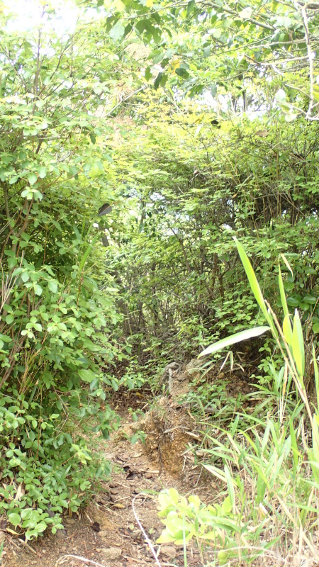 e0024081_16032504.jpg