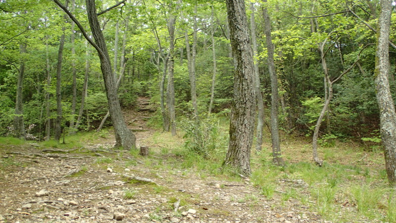 e0024081_16070396.jpg