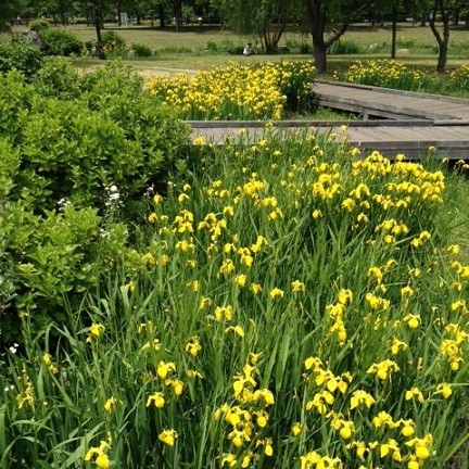 f0224492_15383070.jpg