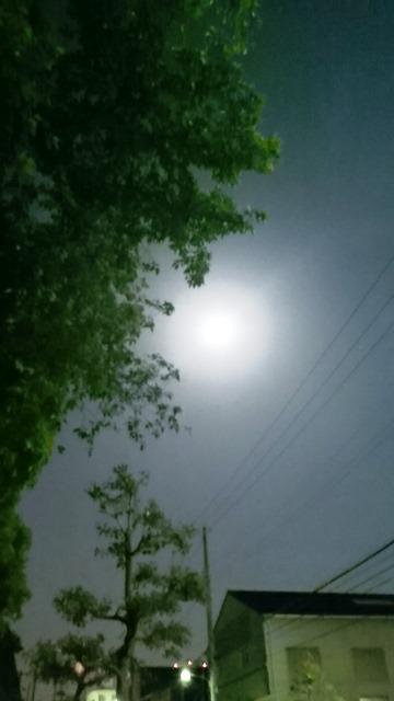 e0167593_1521126.jpg