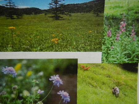 写真家 森本二太郎 夏の写真講座開催のお知らせ_e0120896_724937.jpg