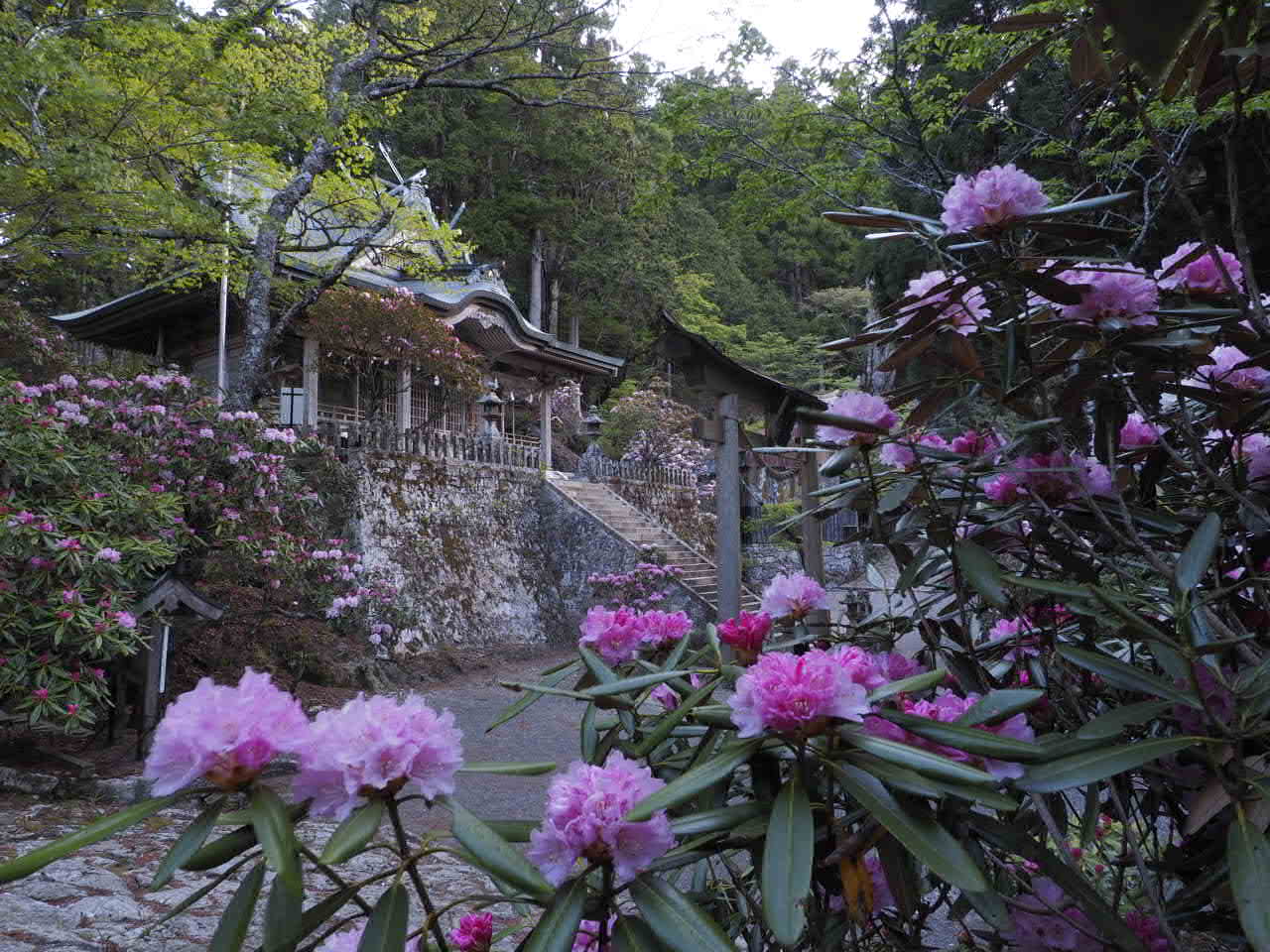 玉置神社_d0020300_20442539.jpg