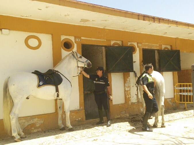 c0212604_255491.jpg
