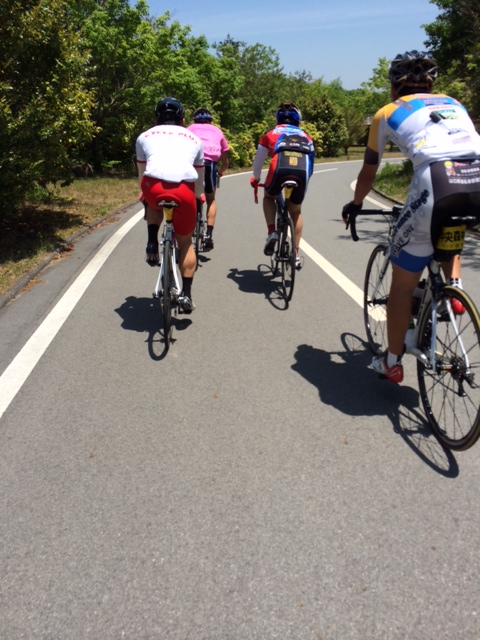2014　それぞれの県ロード_b0246207_08313581.jpg