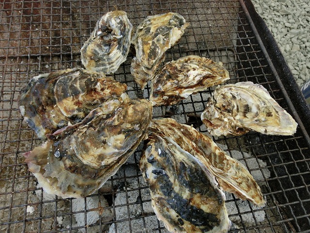 また行って思う存分食べたい!「かき小屋・渡波」_f0141310_7262713.jpg