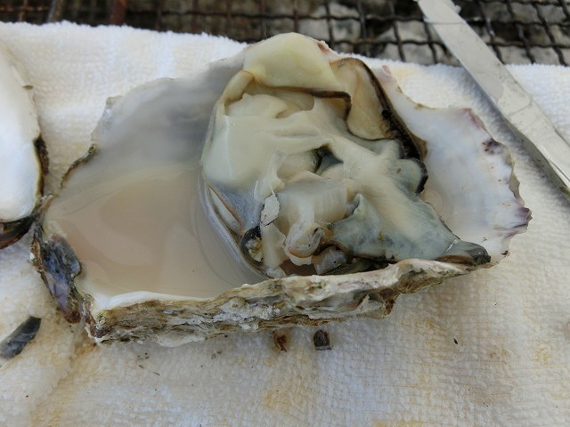 また行って思う存分食べたい!「かき小屋・渡波」_f0141310_7274625.jpg