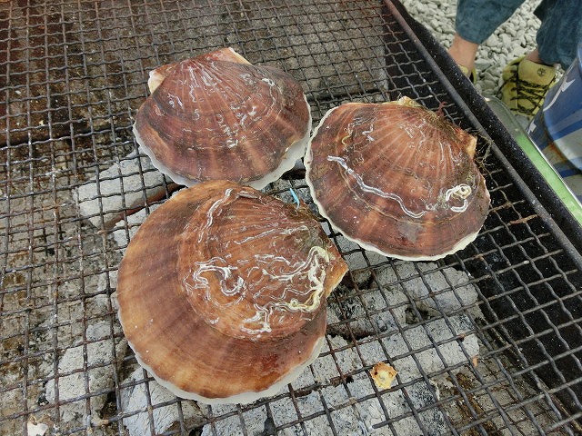 また行って思う存分食べたい!「かき小屋・渡波」_f0141310_7282057.jpg
