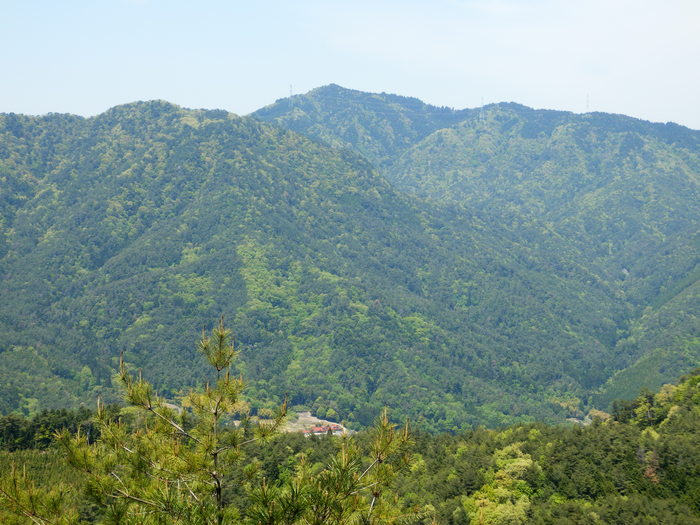 f0219710_79372.jpg