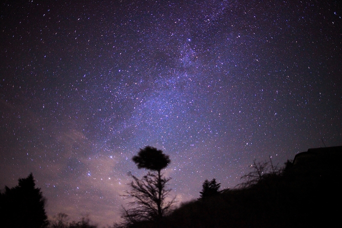 星降る夜に @剣山_c0247313_8444123.jpg
