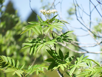 f0232920_16343564.gif