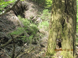 f0193521_564210.jpg